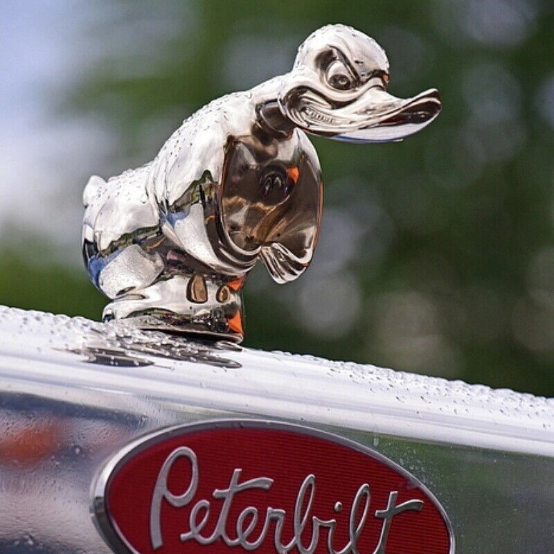 Art Craft Duck - Adorno frontal de coche de pato